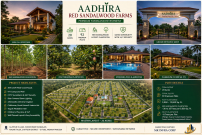 Aadhira Red Sandalwood Farms